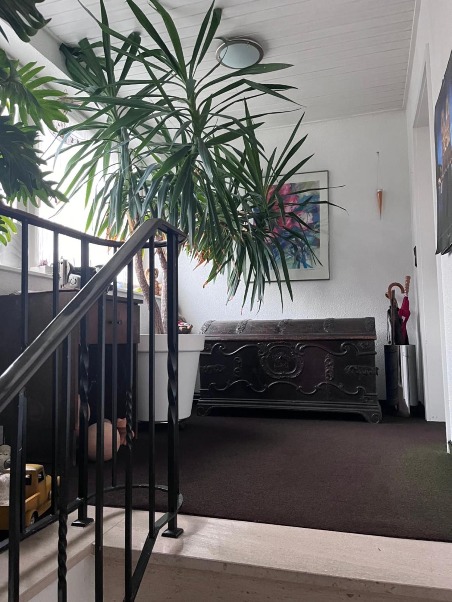 Helles Apartment Mit Balkon In Ruhiger Lage Hamelin Eksteriør bilde